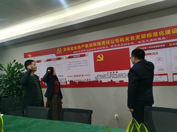 安徽鹽業(yè)地產(chǎn)集團(tuán)機(jī)關(guān)第一黨支部開(kāi)展“佩黨徽、誦誓詞、贈(zèng)黨章、上黨課”黨員教育活動(dòng)